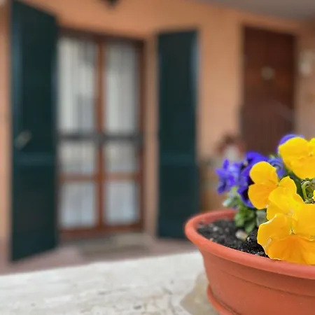 Tuscan * San Quirico dʼOrcia